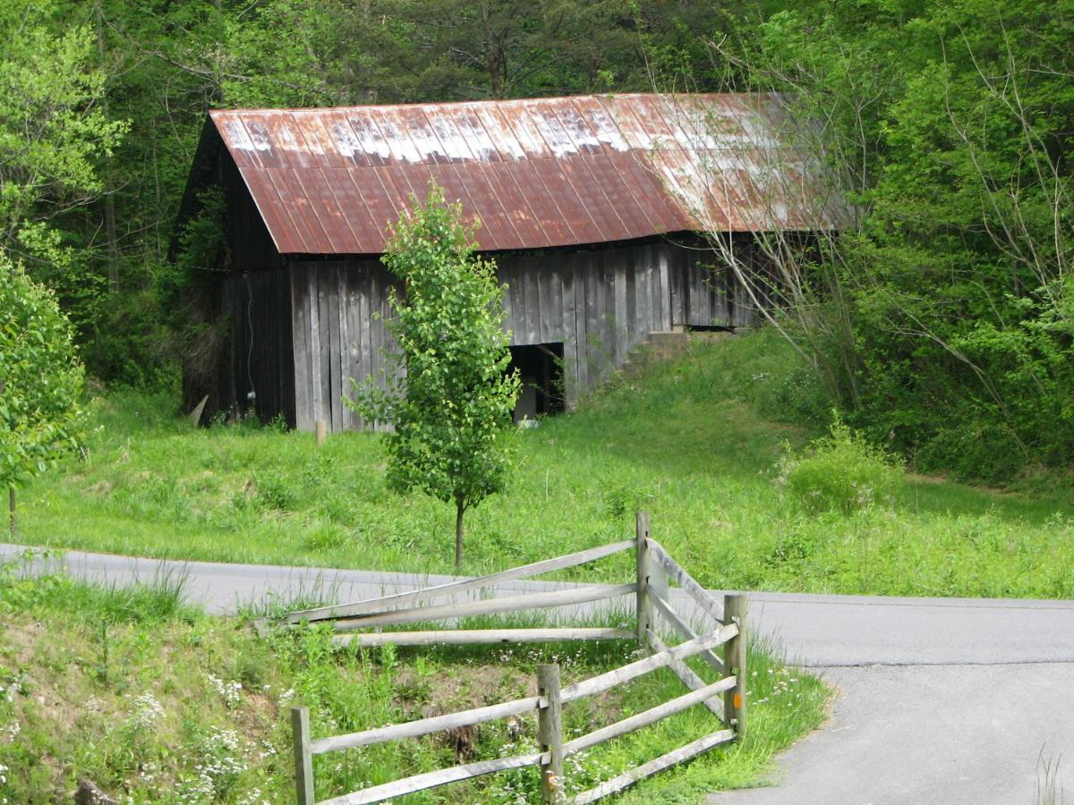 Cozy Creek Cabin Villa Pigeon Forge Exterior photo